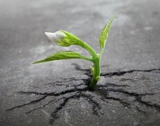 農業(yè)的科學發(fā)展離不開土壤分析儀器
